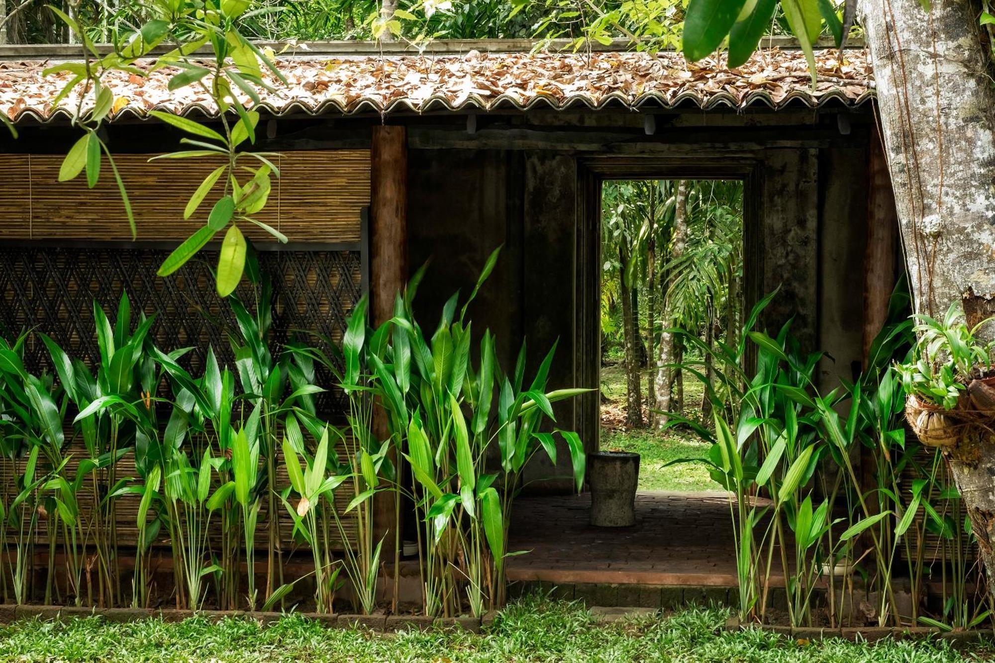 Nisala Arana Boutique Hotel Bentota Exteriör bild