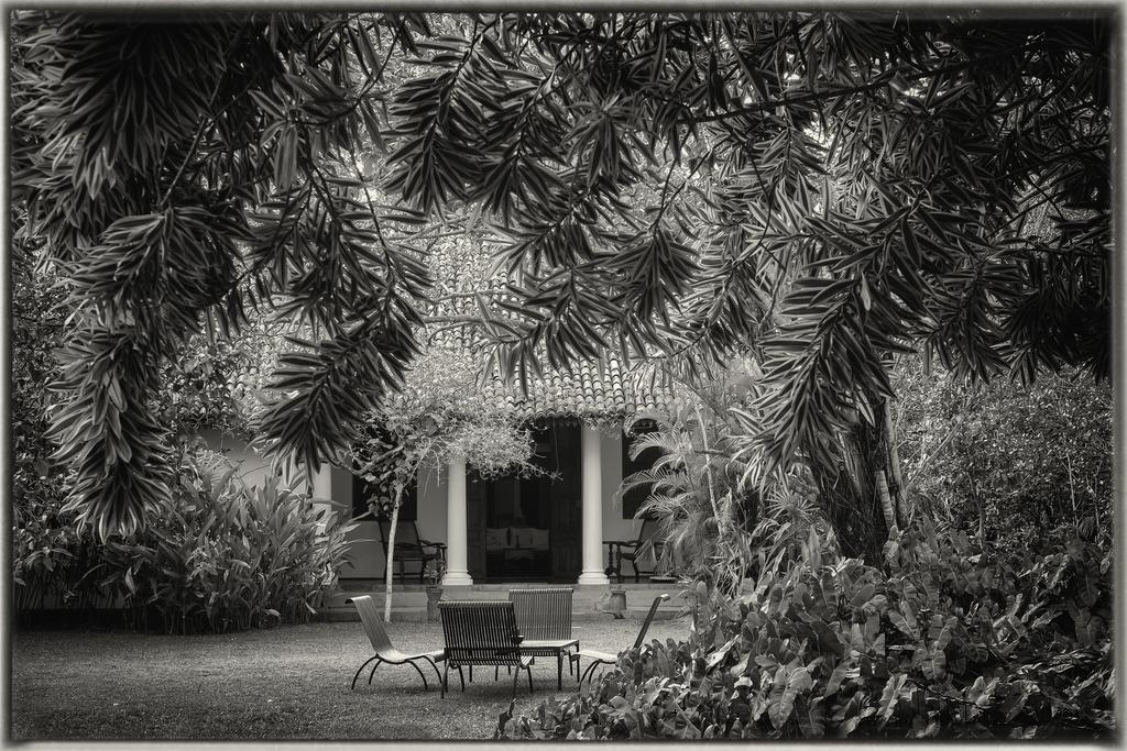 Nisala Arana Boutique Hotel Bentota Exteriör bild