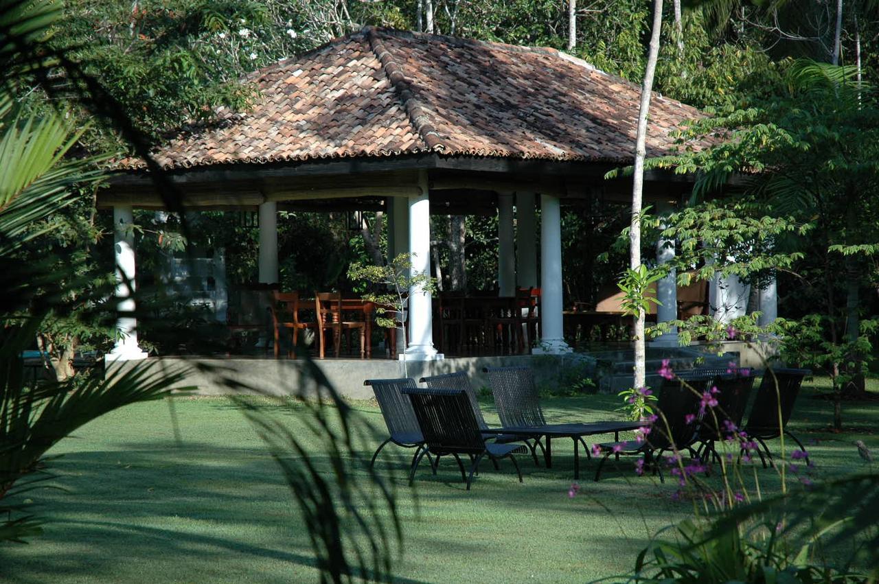 Nisala Arana Boutique Hotel Bentota Exteriör bild