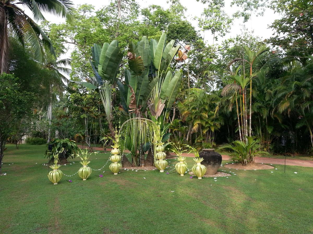 Nisala Arana Boutique Hotel Bentota Exteriör bild